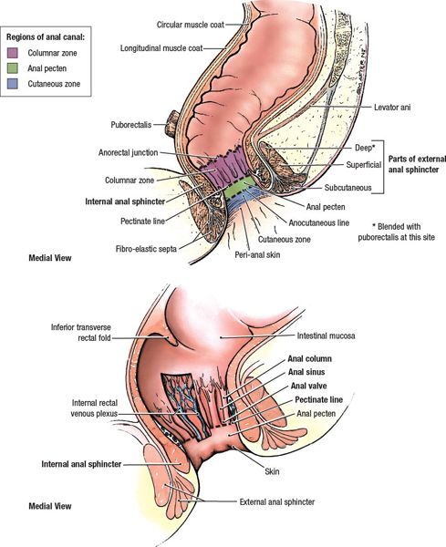 Anal Cancer Treatments Causes Symptoms Nhcancerclinics