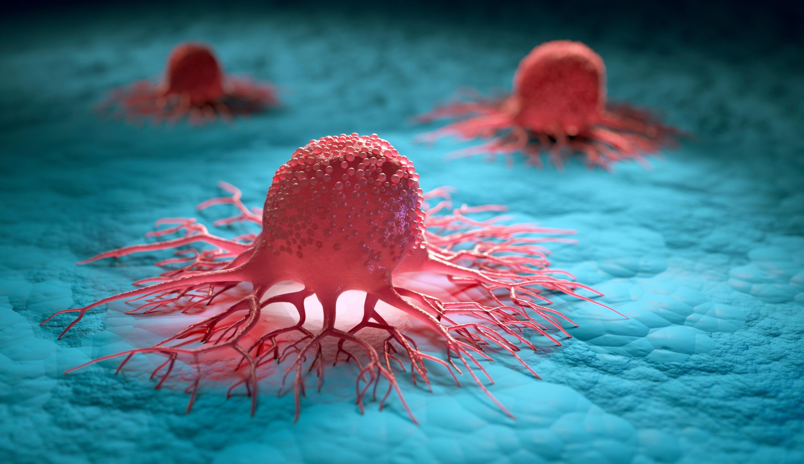 Cancer Types Image