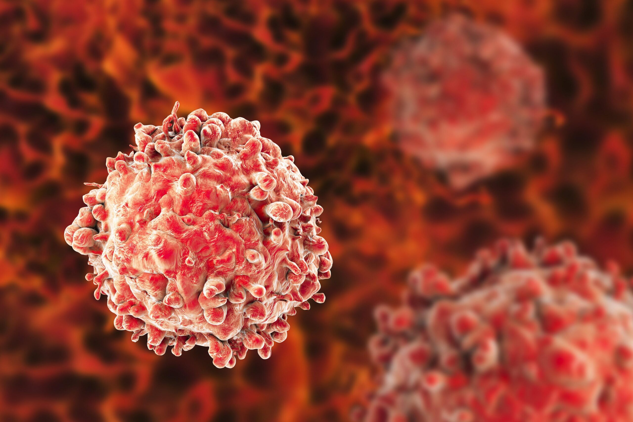 Leukemia Cancer Diagnosis Image