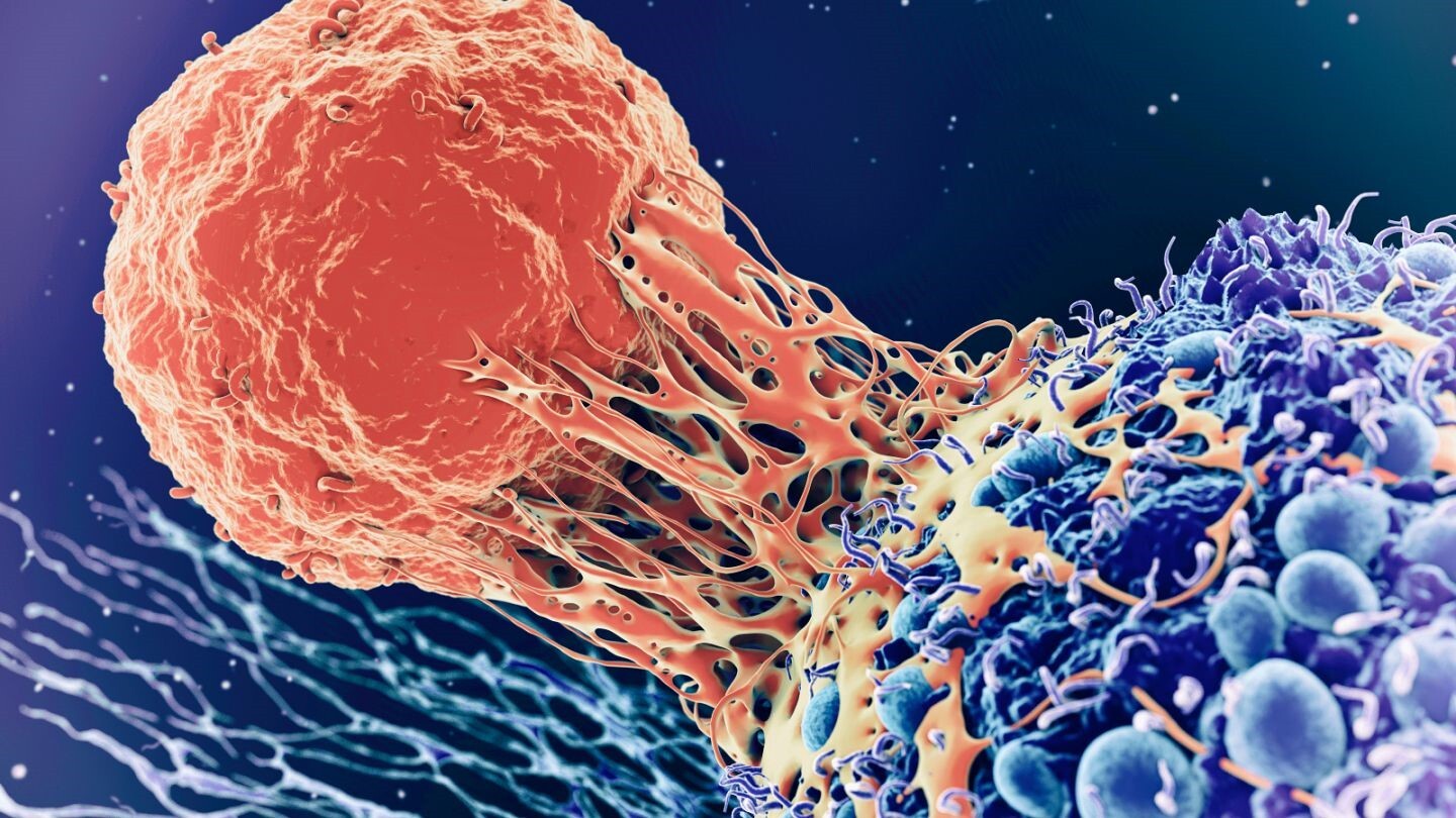 Cancer Center Near You