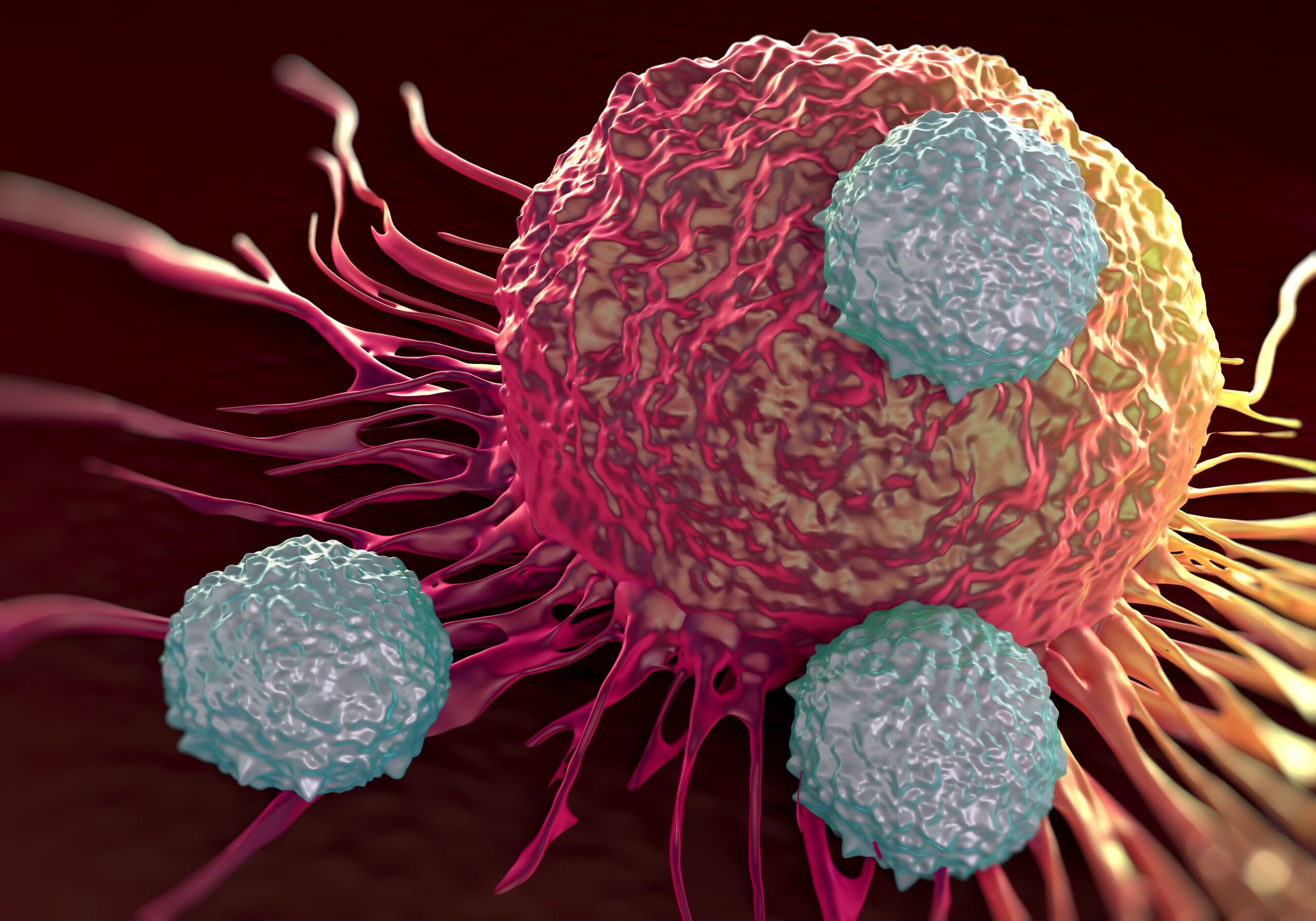 Cancer Recovery