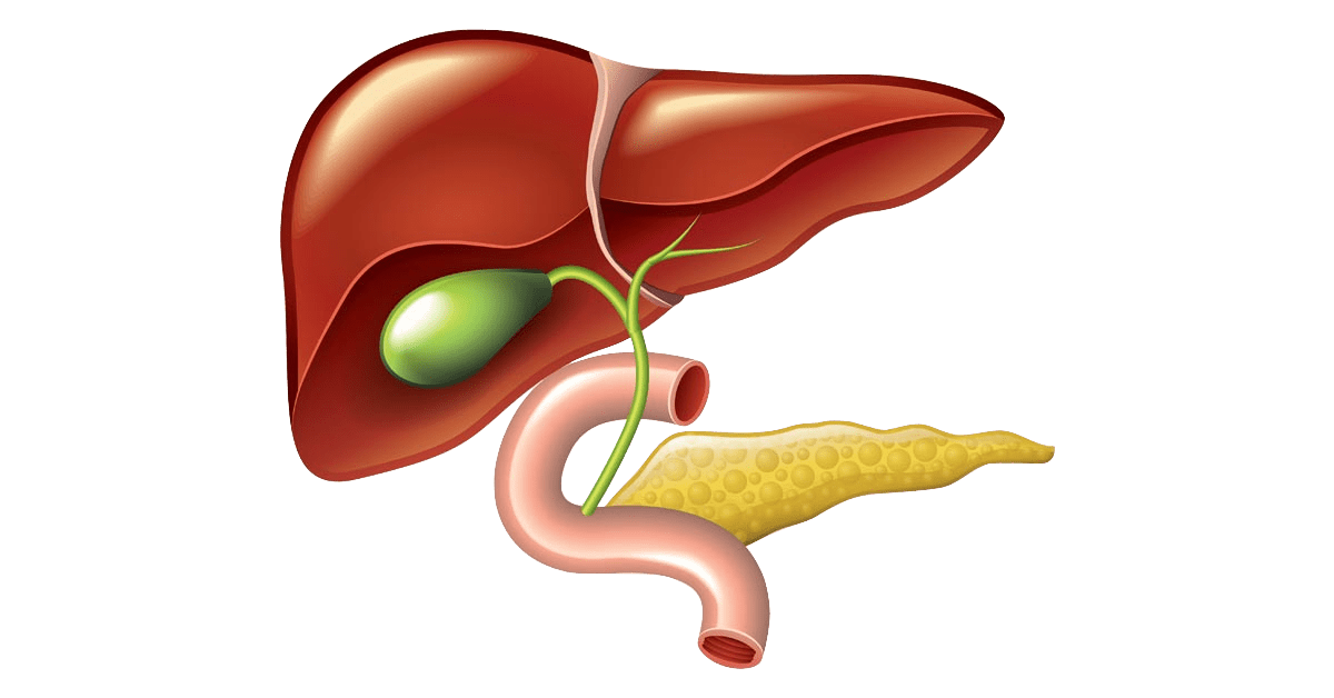 Causes Of Gall Bladder Cancer​ Image
