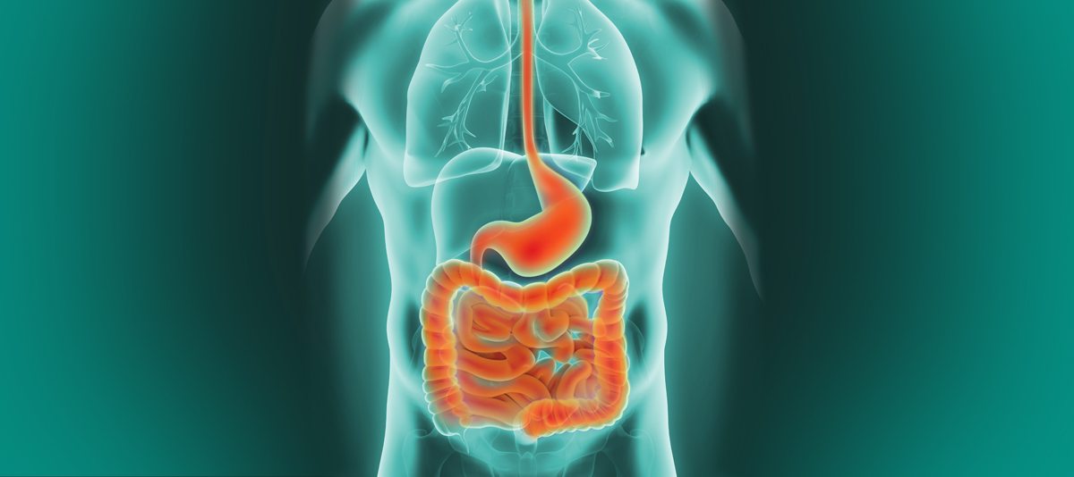 Neuroendocrine Tumor Cancer Treatments​