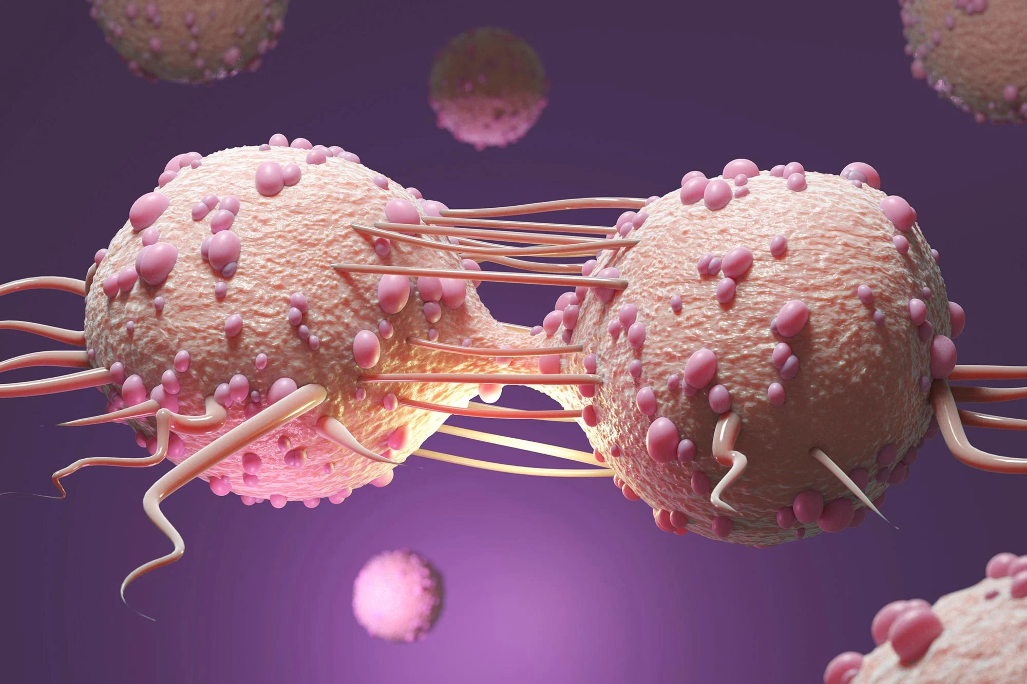 Targeted Therapy for Cancer Types